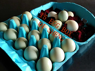 15 eggs box