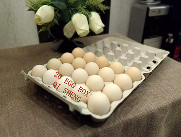 20 eggs box