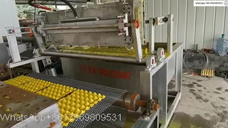 1000pcs egg tray per hour with metal oven dryer production line