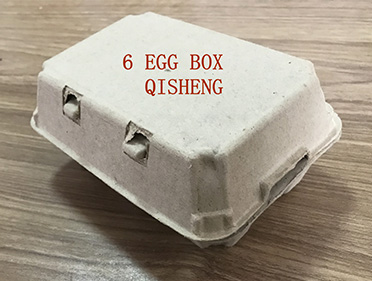 6 eggs box