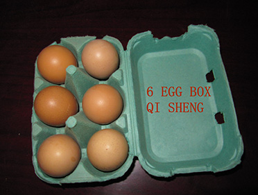 6 eggs box