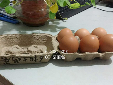 6 eggs box