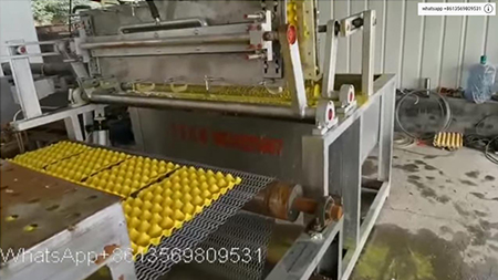 1500pcs egg tray per hour with metal oven dryer production line