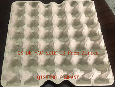 QS  DE -AC SZIE13 From Africa