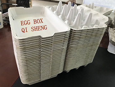 egg box